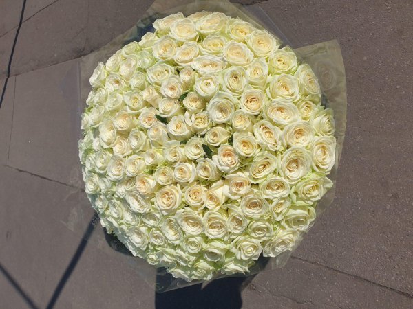 Белые розы букеты большие