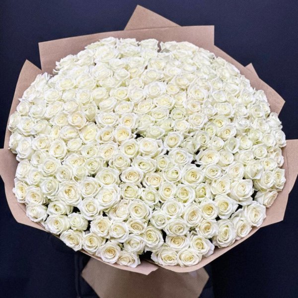 Белые розы букеты большие