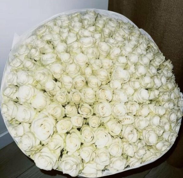 Белые розы букеты большие