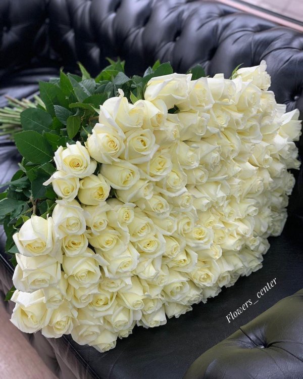 Белые розы букеты большие