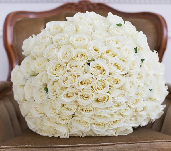 Белые розы букеты большие