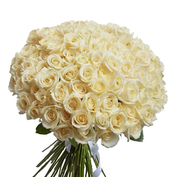 Белые розы букеты большие