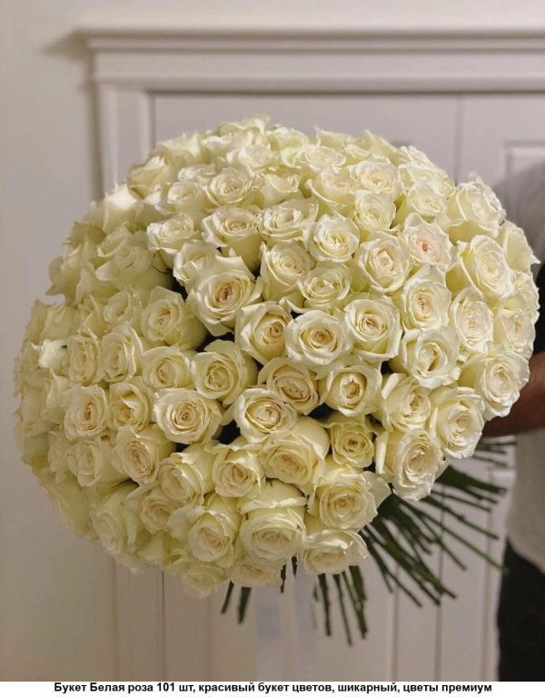 Белые розы букеты большие