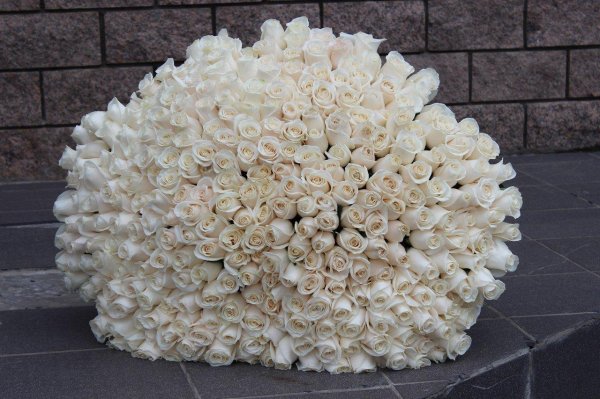 Белые розы букеты большие