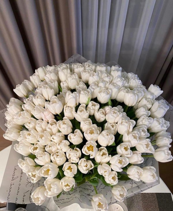 Белые розы букеты большие