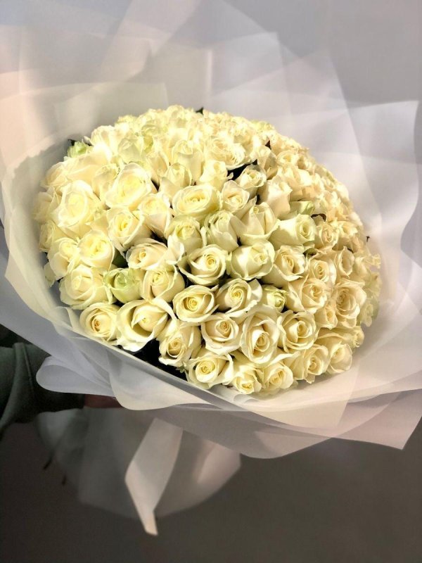 Белые розы букеты большие