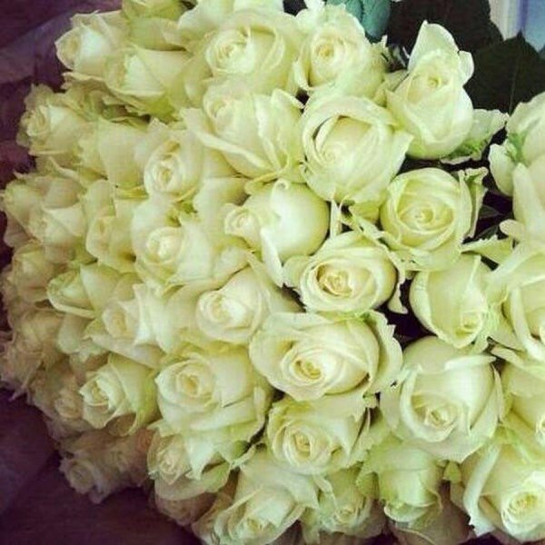 Белые розы букеты большие