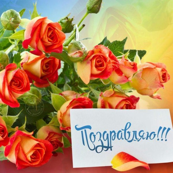 открытка поздравляю