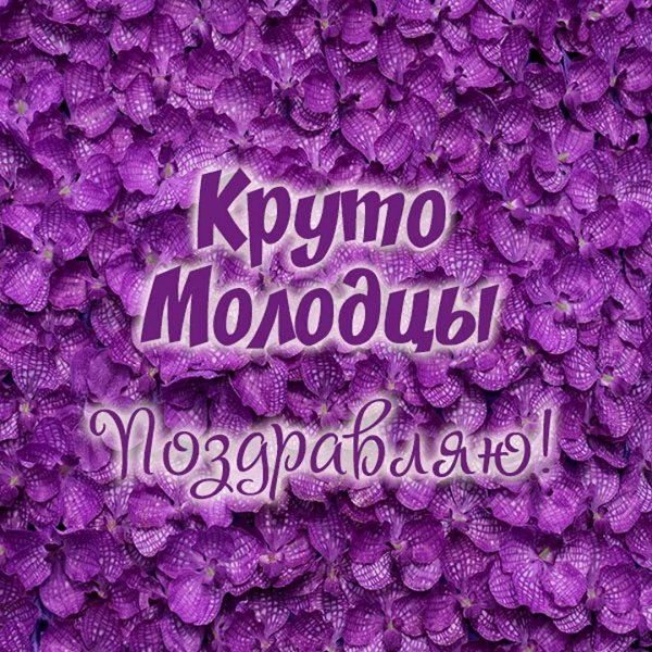 фиолетовая цвет