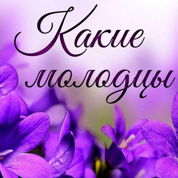 фиолетовые цветки