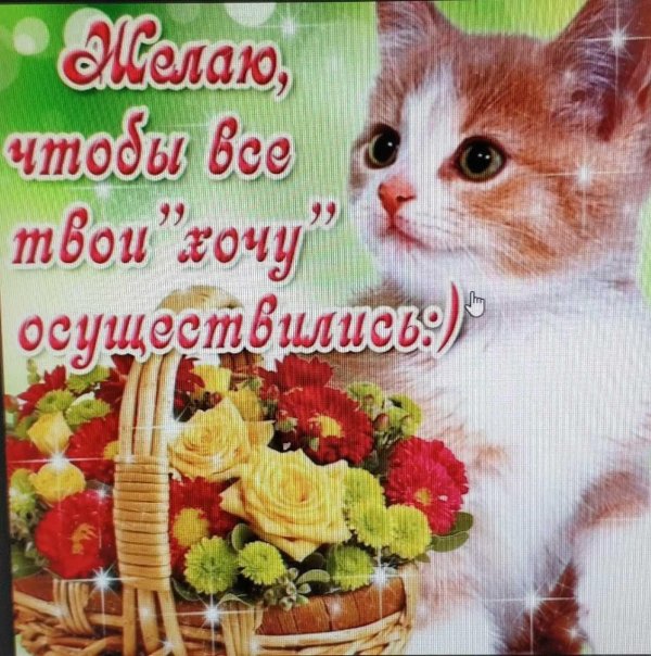 привет милый