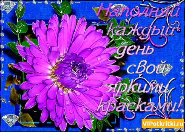 красивые открытки на каждый день