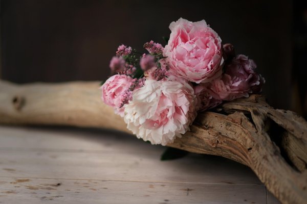 На рабочий стол пионы на весь экран самые