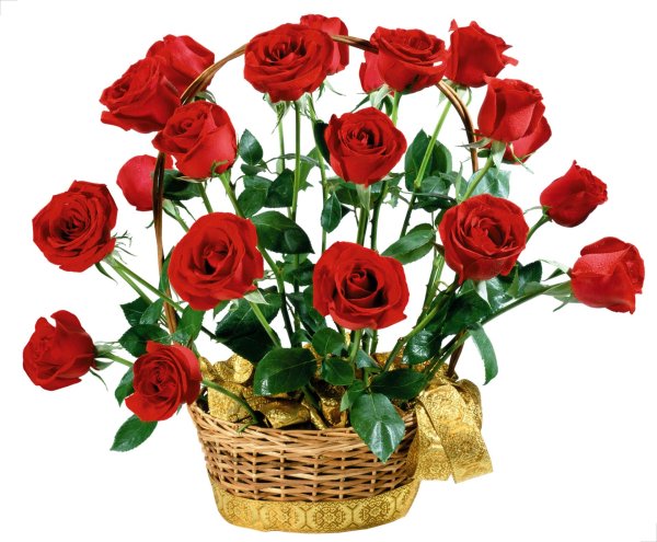 открытки и поздравления