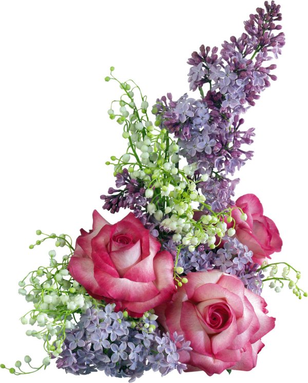 букет без фона для фотошопа