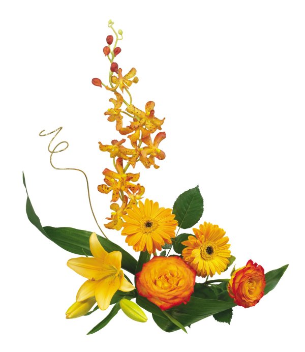 оранжевый цветок клипарт