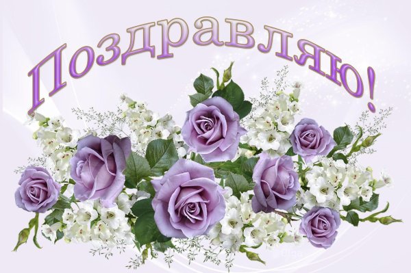 красивое поздравление