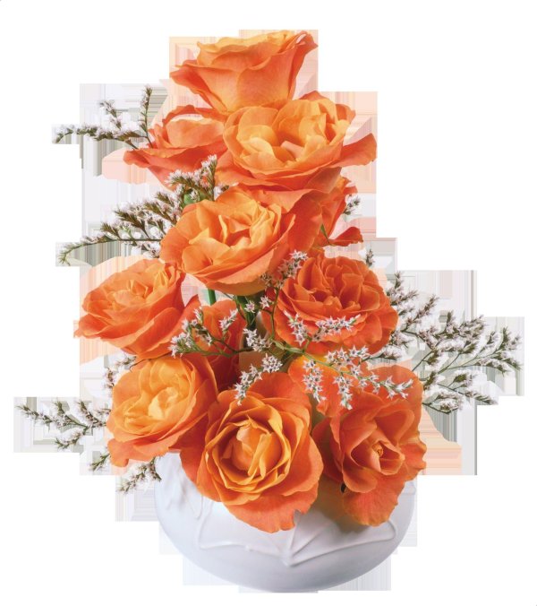 желто оранжевые розы