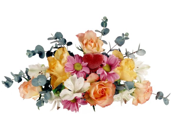 прозрачный фон цветы