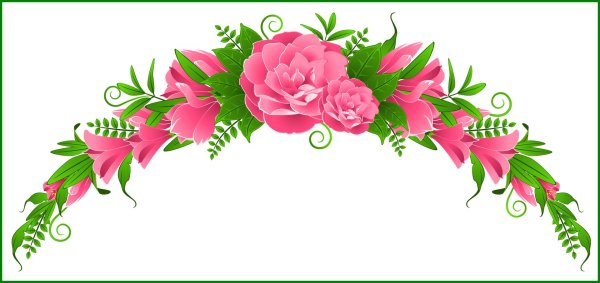 цветы уголок