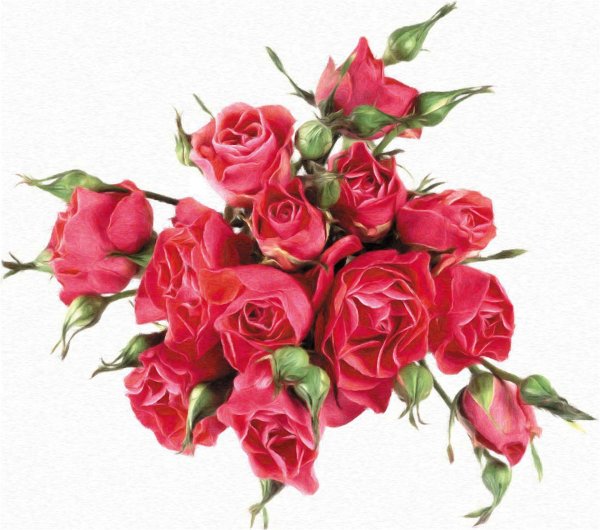 С цветами на прозрачном фоне