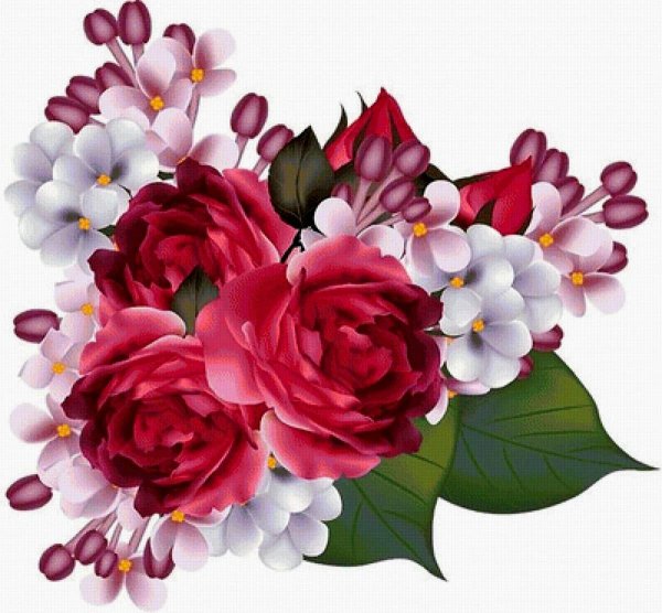 красивые цветы без фона