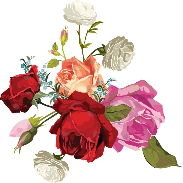 букет без фона