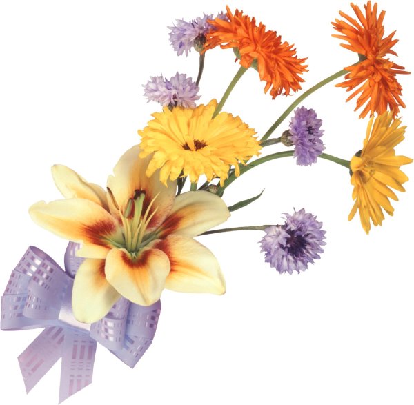 прозрачный фон цветы