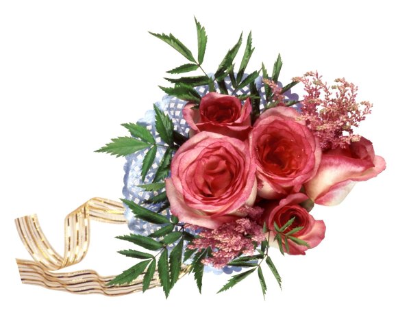 букет цветов для фотошопа