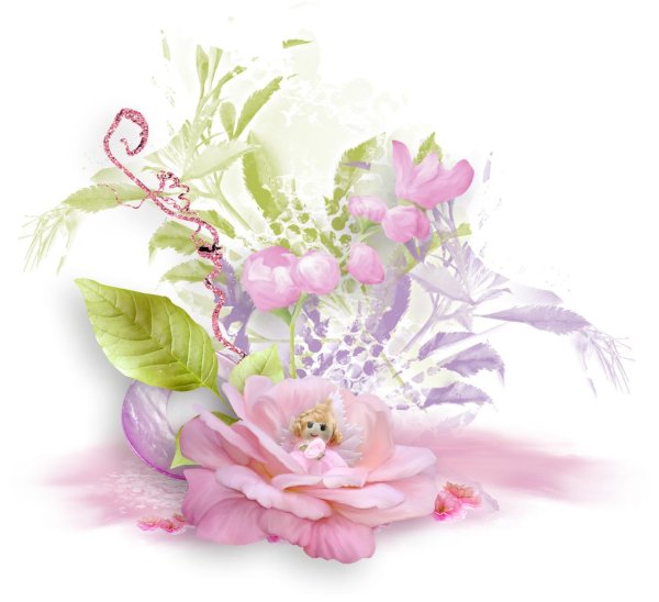 прозрачный фон цветы