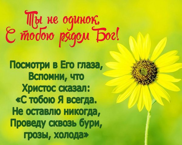 Божественные