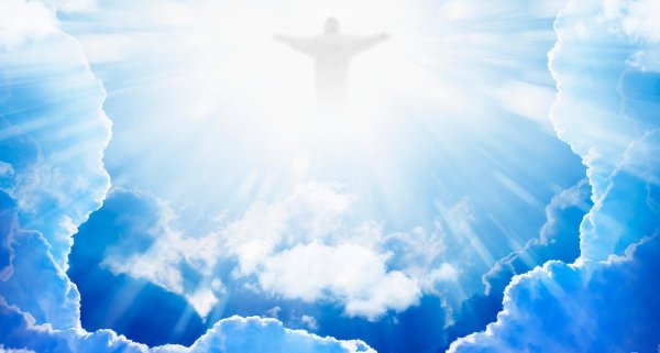 Божественные