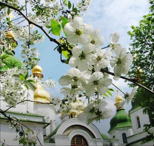 Божественные