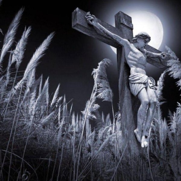 Божественные