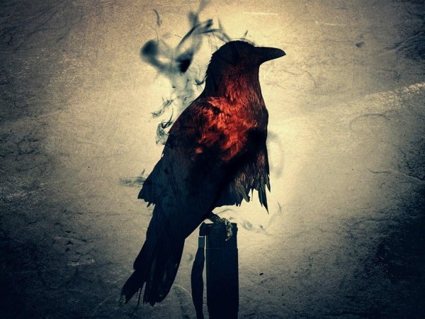 Ворон