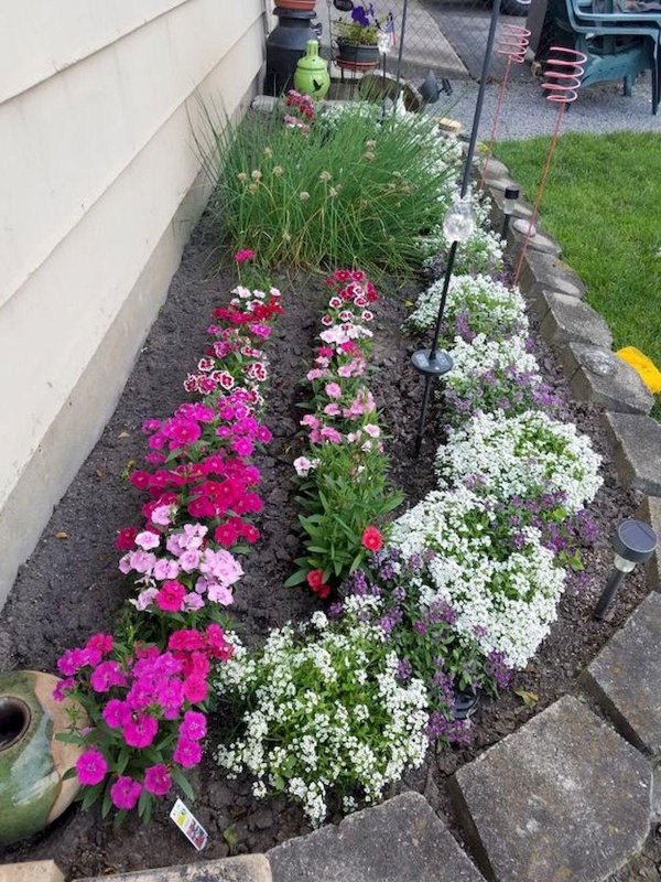 красивое оформление клумб