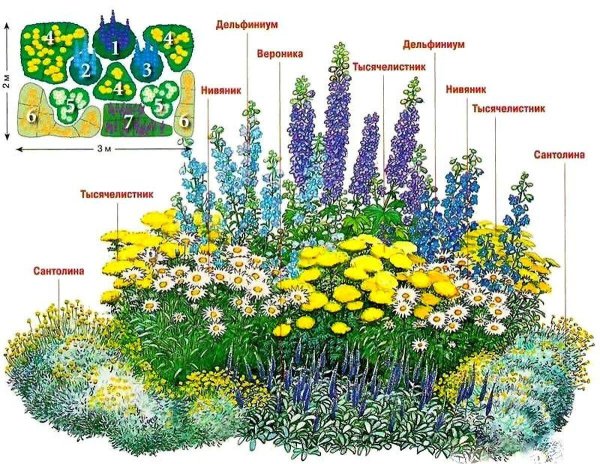 клумбы миксбордеры непрерывного цветения