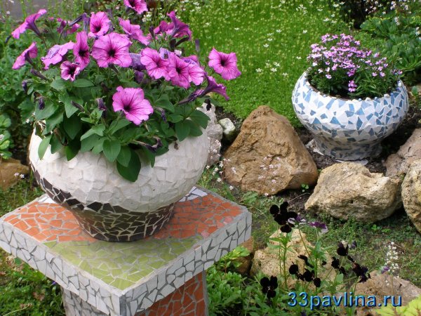 петуния в чугунке