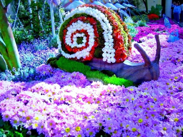 красивое оформление клумб