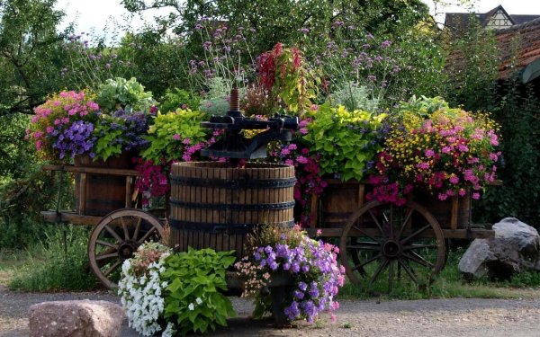 цветник телега