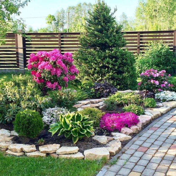 хвойно вересковый миксбордер