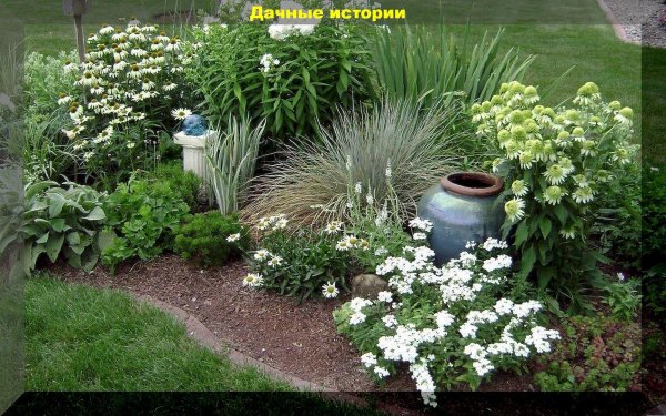 миксбордер кантри