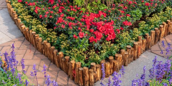 красивые клумбы