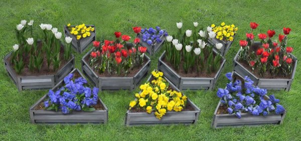 оформление клумб и цветников