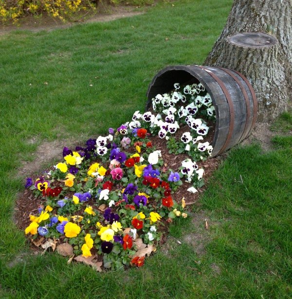 идеи клумб для дачи