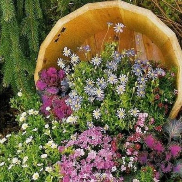 оригинальная клумба