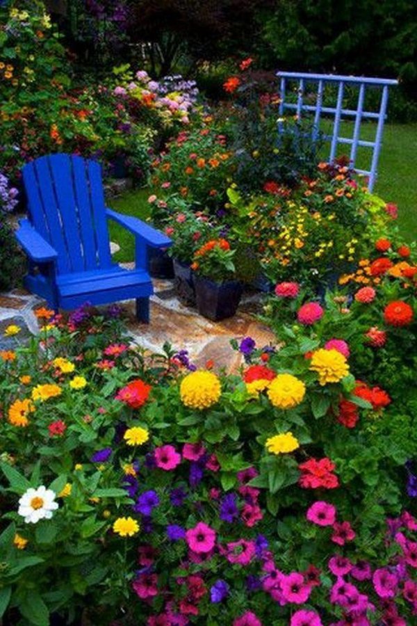 цветник в саду