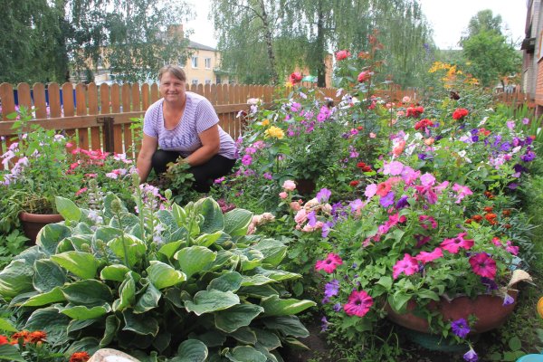 наталья петренко неприхотливые многолетники
