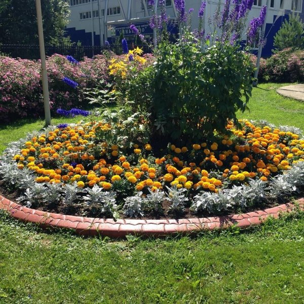 оформление клумб и цветников