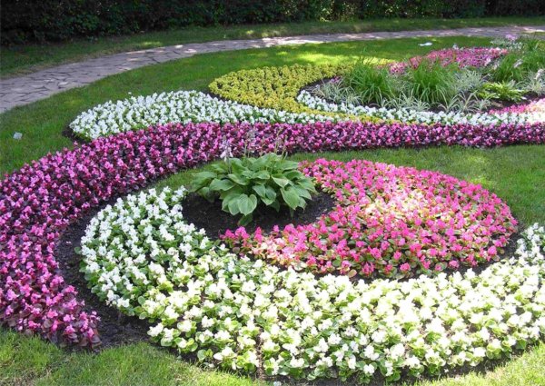 оформление клумб